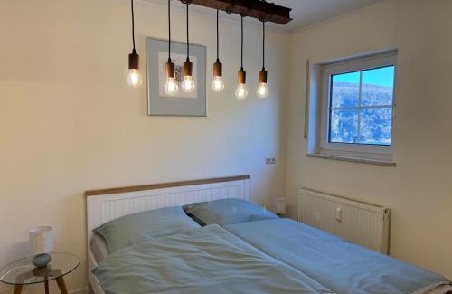 Mainz-Bingen Apartment | Haus am Weinberg