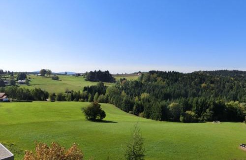 Neureichenau Apartment | Haus Bergland