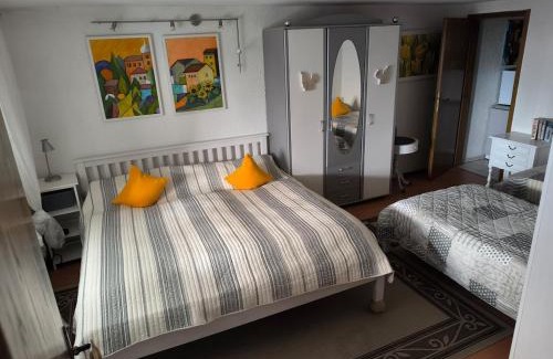 Barbis Apartment | Haus Harzer Bergblick all inklusiv Sauna Whirlpool