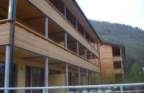 Schnepfau Apartment | Haus Jelini