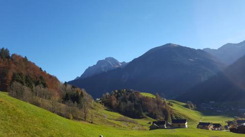 Schnepfau Apartment | Haus Jelini