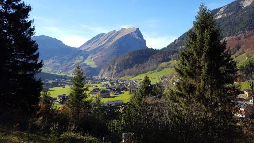 Schnepfau Apartment | Haus Jelini