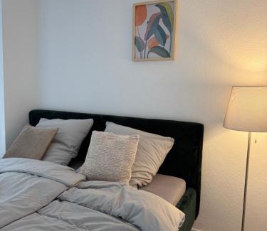 Braubach House | Haus Johannes