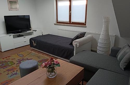 Bischofshofen Apartment | Haus Josef, Apartment mit Balkon und 2 Schlafzimmer