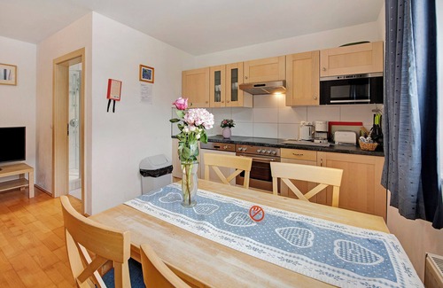 Filzmoos Apartment | "Haus Lowe Appartement 1 Stock Nr 2" with Mountain View