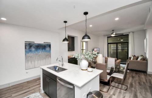 Braeswood Place Apartment | Haus of Blues-HighRise-NRG Stadium-Med Center- Private Parking