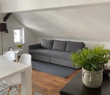 Bischofshofen Apartment | Haus OS