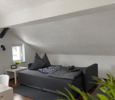 Bischofshofen Apartment | Haus OS