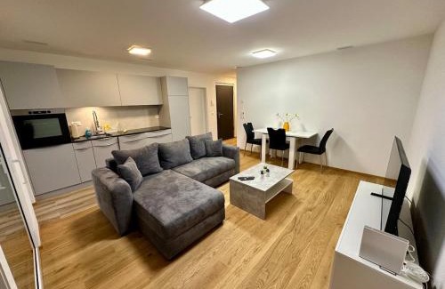 Brig Apartment | Haus Römerhof Apt 3