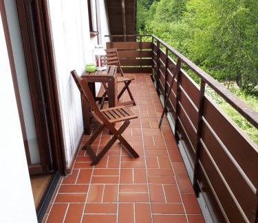 Weiskirchen Apartment | Haus Rosi