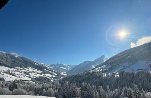 Alpbach Apartment | Haus Schmetterling