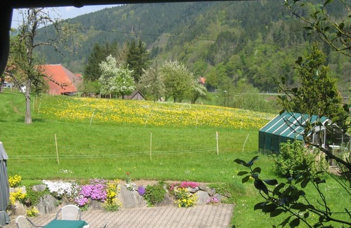 Gutach Apartment | Haus Schneider, Ferienwohnung Talblick