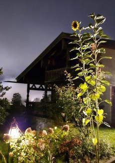 Bayrischzell Apartment | Haus Sunnleitn Vogelsang