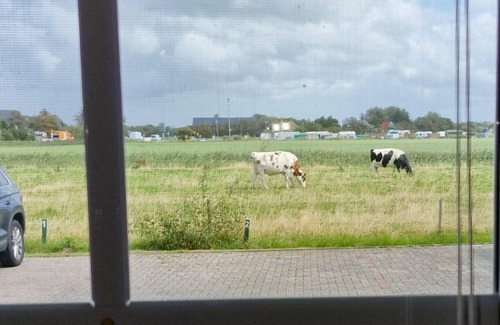 St. Peter-Ording Apartment | Haus Trischen Whg 02