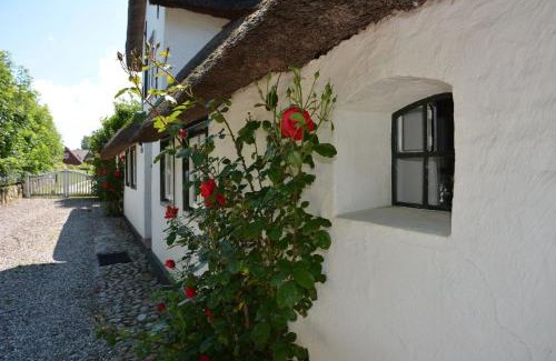 Midlum House | Haus Wattwurm
