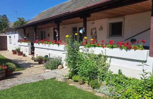 Apetlon Apartment | Haus Wegleitner