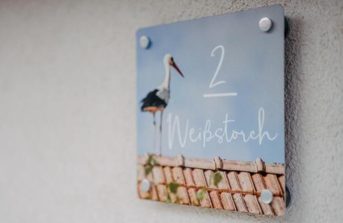 Sankt Andra am Zicksee Apartment | Haus Weiss bei Julia