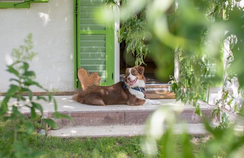 Deutsch Schuetzen-Eisenberg House | Hausimweinberg