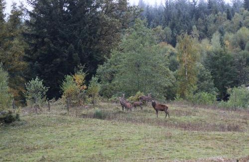 Cornimont Ski Chalet | Haut pré de ces Dames