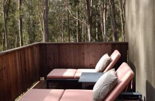 Tamalpais-Homestead Valley Apartment | Haven in the trees, minutes from hiking trails