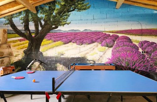 Savasse Villa | Havre de Paix et Lavandes - Très Calme - Salle de jeux - Jacuzzi Chauffé - Idéalement placée - Aucun vis à vis