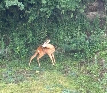 Hermelinghen House | Havre de Paix