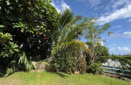 Hilo Bed & Breakfast | Hawaiian Ohana Home