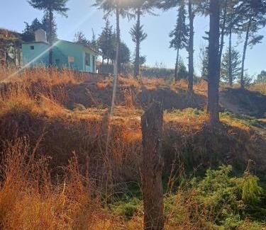 Almora House | Hawalbagh Hamlet Almora Nainital-Kausani Highway