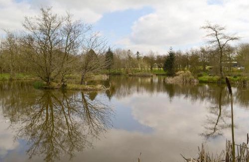 Holsworthy House | Hazel