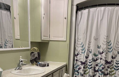 Dimondale House | Heart of Michigan Newly Updated Home