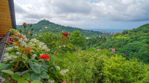 Khelvachauri Villa | Heaven Villa Pheria