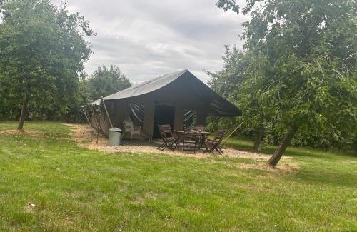 Bewdley Other | Hedgerow