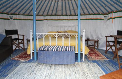Totnes Other | Hemsford yurt camp - Devon Yurts