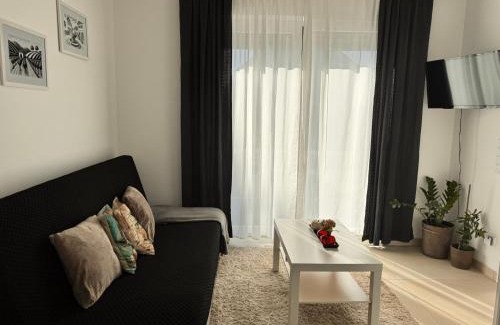 Mainz-Bingen Apartment | Heni Apartments