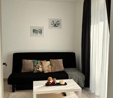 Mainz-Bingen Apartment | Heni Apartments