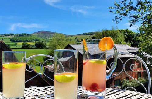 Llanbedr-dyffryn-clwyd House | Heron's View