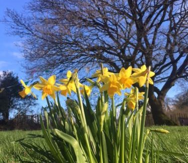 Christchurch House | Heronshaw House