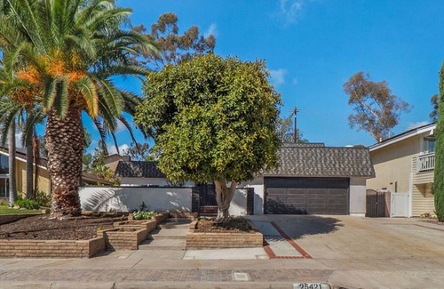 Mission Viejo House | Hey! I Am Adriana On The Block | Pool | BBQ