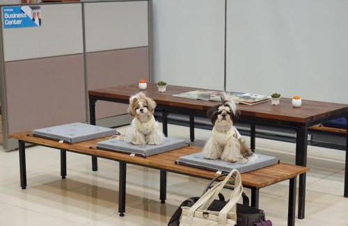 Hallim Hotel | Hi Jeju Hotel