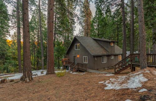 Arnold House | Hibernation Station