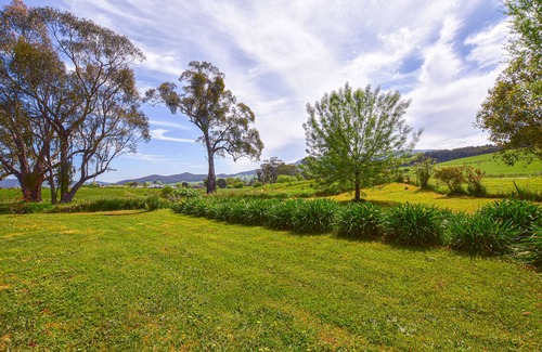 Myrtleford House | Hidden Haven - Entire home, nestled among trees and wildlife