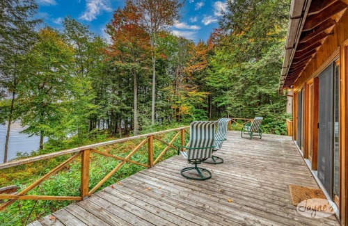 Minett Cottage | Hidden island gem on Lake Joe! Cozy and rustic 3bdrm with 500' of shoreline!