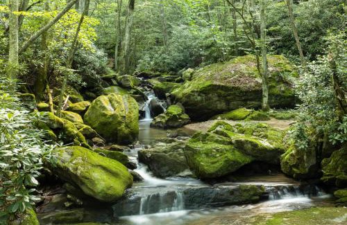 Banner Elk House | Hideaway Cabin at Buckeye Creek