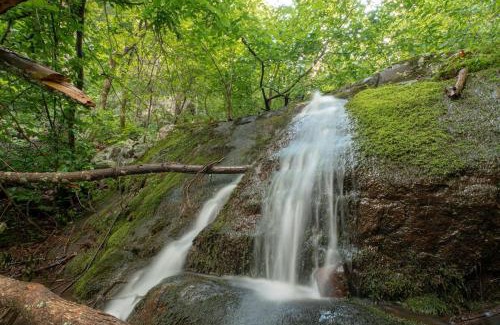 Rileyville House | Hideaway Tiny Cabin, Hot Tub, View, Firepit
