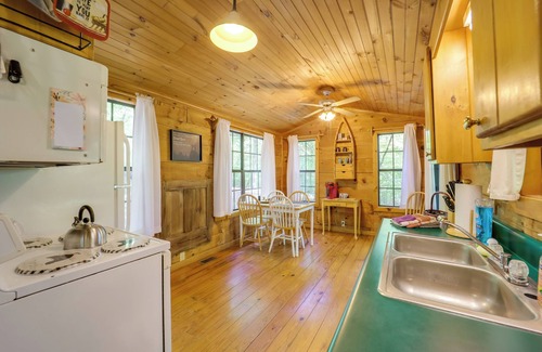 Vein Mountain Apartment | Hike, Soak & Unwind in Nature: Blue Ridge Cabin