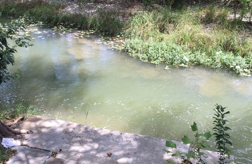 Hunt House | Hill Country Getaway with Guadalupe River access