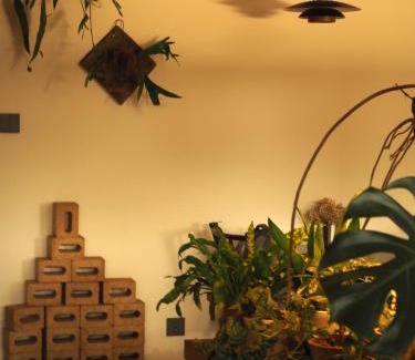 Jinjiang Hotel | Hill Design Hotel 山丘设计师酒店 春熙路太古里店