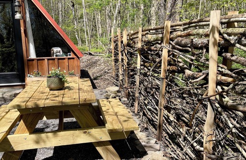 Cherry Valley Cabin | Hillside: Cozy offgrid cabin near Cooperstown, NY