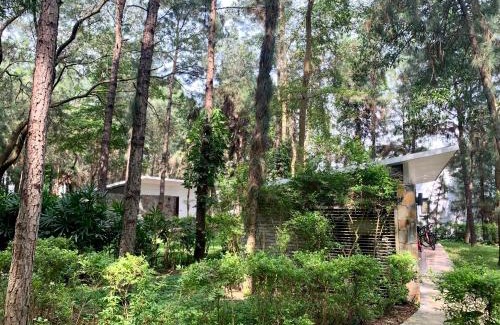 Thanh Xuan Apartment | Hilltop Đại Lải H230 Villa