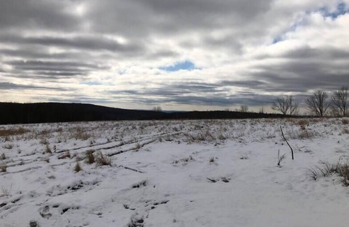 Livingston Manor House | Hilltop Cottage - Contemporary Design with Views!